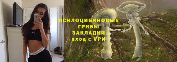винт Армянск