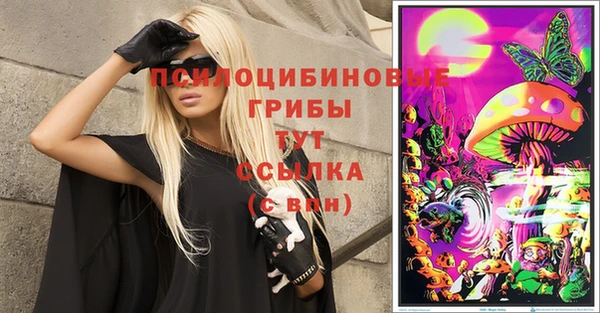 PSILOCYBIN Аркадак