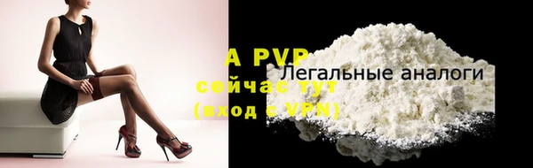 PSILOCYBIN Аркадак