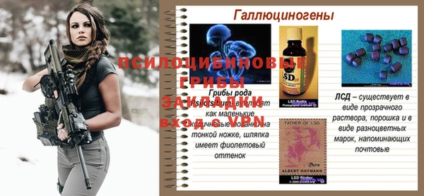 винт Армянск