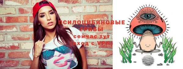 винт Армянск