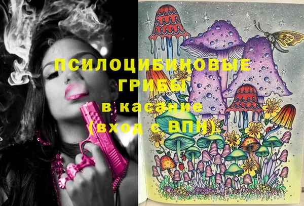 apvp Арсеньев