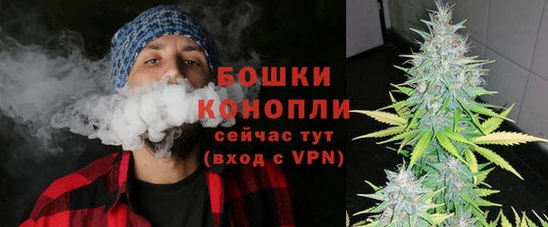 PSILOCYBIN Аркадак