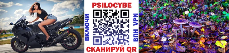 Псилоцибиновые грибы прущие грибы  Мурино 